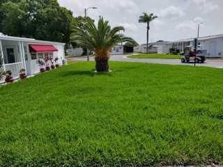 A happy customer of Sam I AM Lawn & Landscape Inc.
